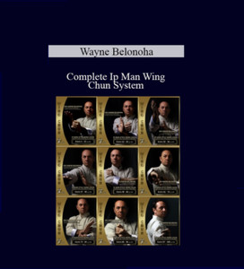 【廃盤】『カンフー・マスター!』 DVD カンフー・マスター！('87仏) 廃盤DVD カンフー・マスター！('87