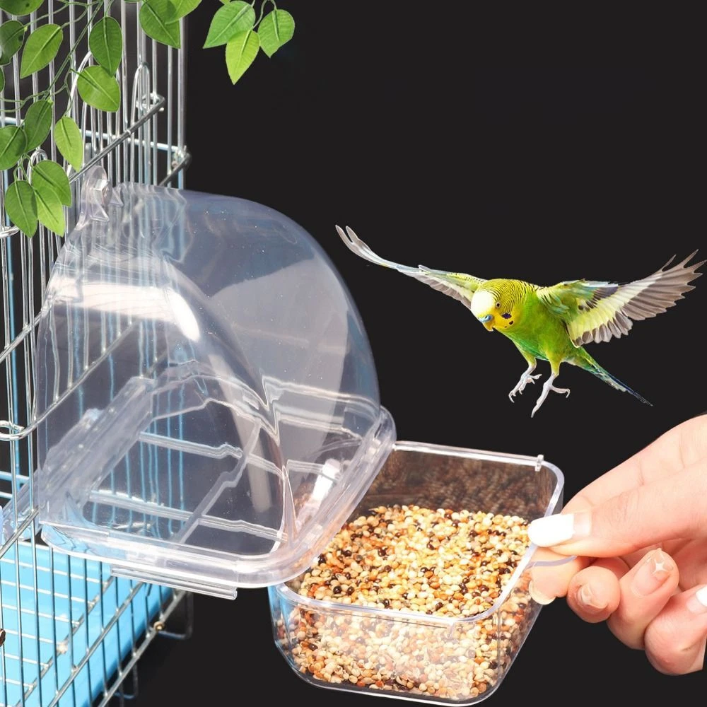 Bird on sale cage feeder