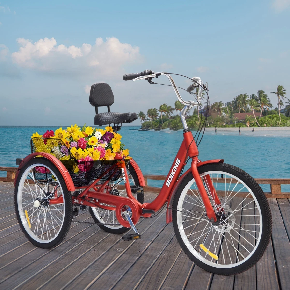 Industrial trike 2025