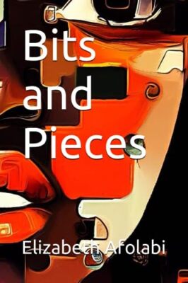 Afolabi - Bits and Pieces - New paperback or softback - 51 - X555z