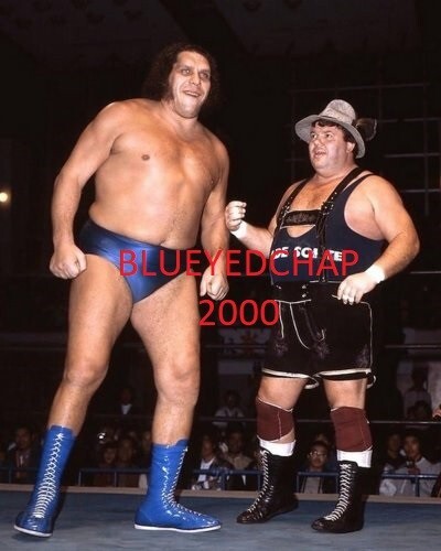 ANDRE THE GIANT & OTTO WANZ WRESTLER 8 X 10 WRESTLING PHOTO AWA - Picture 1 of 1