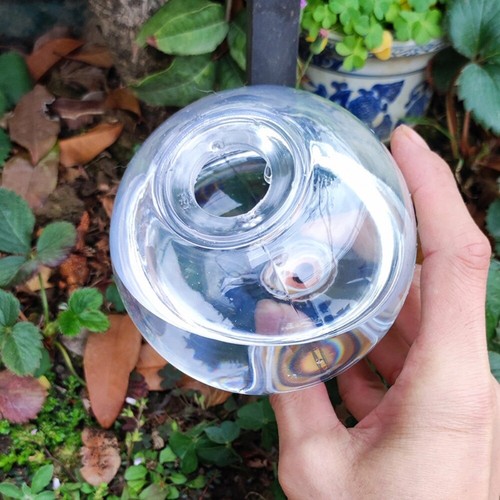 2pcs Automatic Drip Irrigation Ball Insert Type Flower Pot Seepage Water Globes - Picture 9 of 13