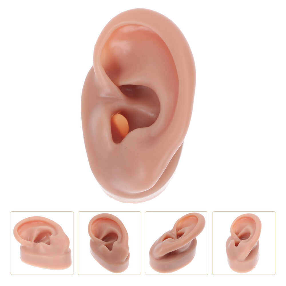 Silicone Piercing Teaching Model Ear Model Ears Body Parts Ear 
