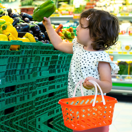2 Pcs Shopping Basket Toy Shopping Cart Toy Shopping Basket Kids - Picture 11 of 12