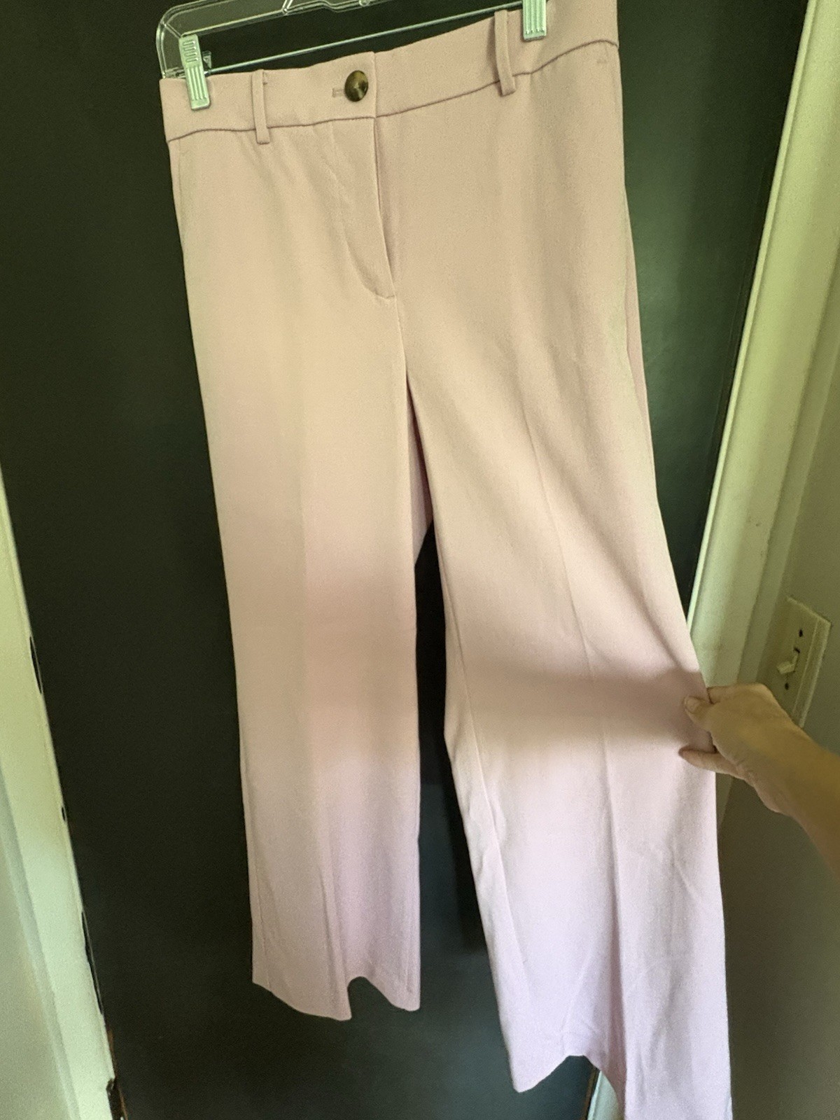 Ann Taylor 4P Curvy Pink / Lavender Women’s Pants - Great Condition