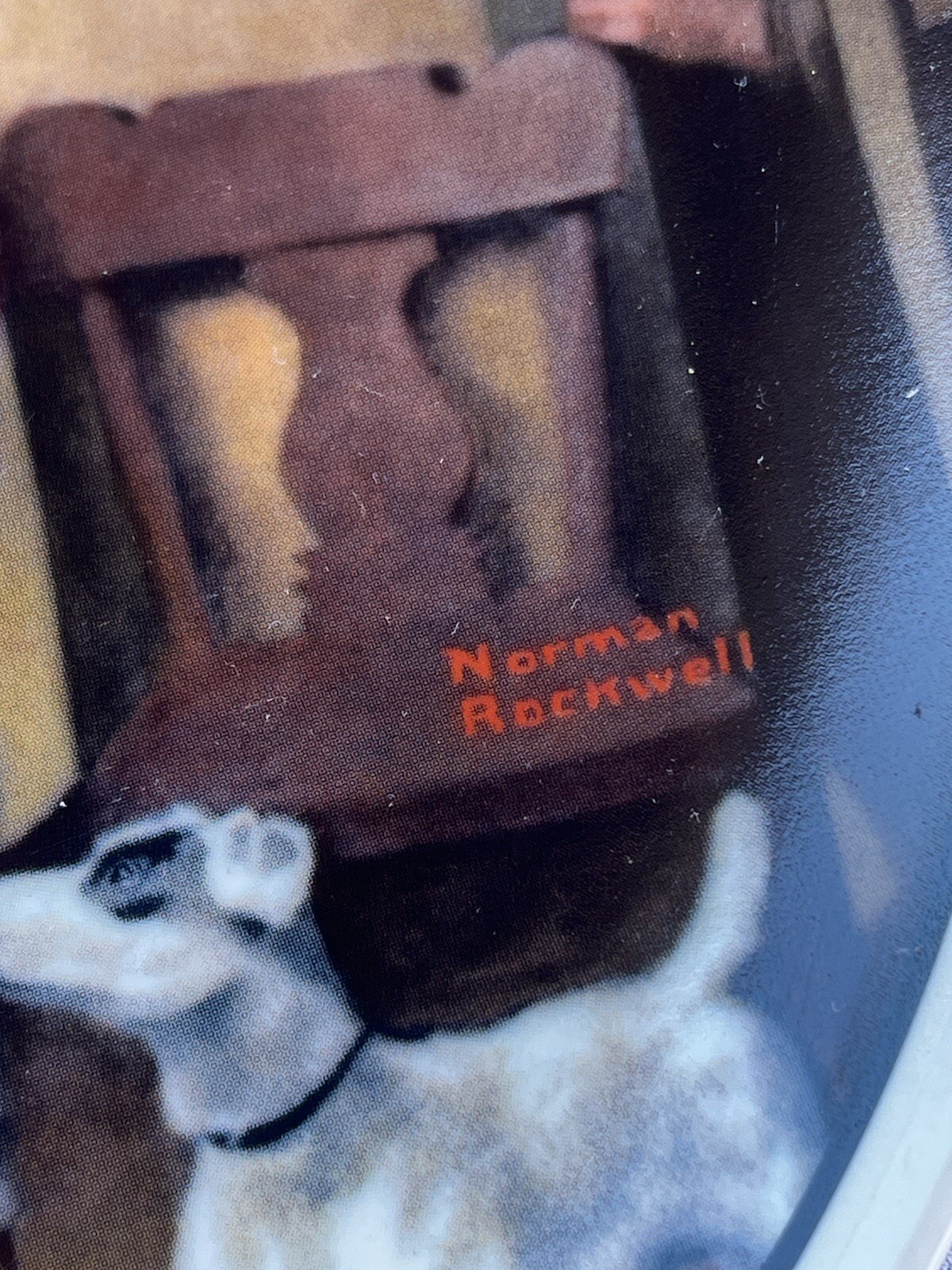 Picture 8 of 14