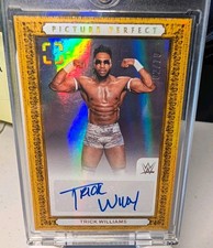 2024 Panini PhotoGenic WWE Wrestling Checklist Guide in-content 10