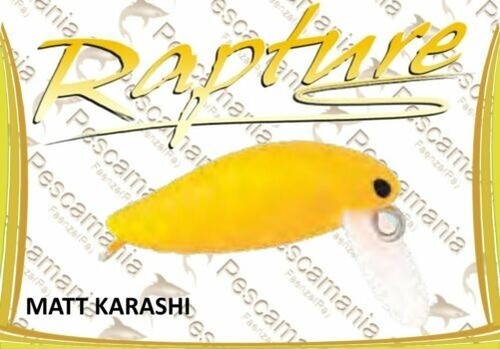 Artificial Spinning Rapture BEETLE AREA 2g 28mm Sinking Area Game - Imagen 7 de 18