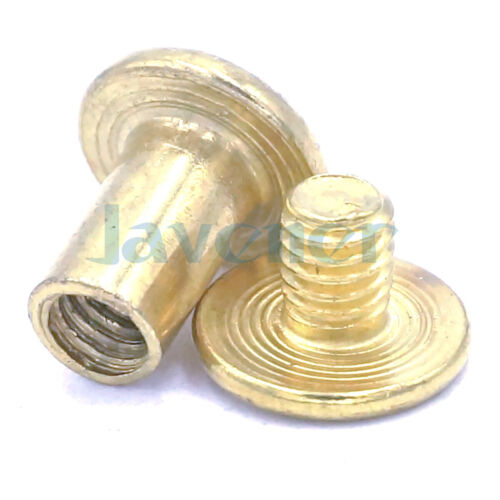 Álbum de fotos de latón enchapado M5x6-M5x100 mm tornillo a presión remache de acoplamiento remache - Imagen 5 de 27
