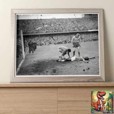 Pele Brazil Legend  : Professional Photo 10''x8''