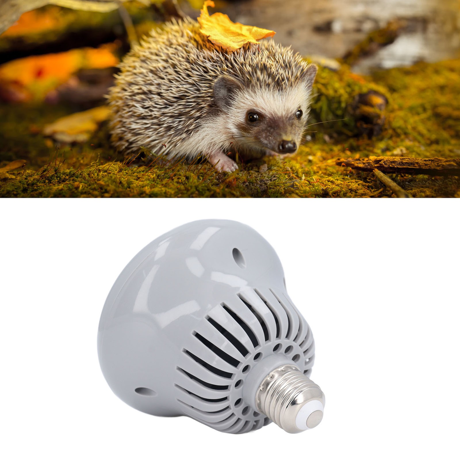 Adjustable Chicken Coop Heater Lamp For Ducks Poultry Bearded Reptiles Excellent