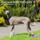 Italian Greyhound Calendar 2025 - Dog Breed Wall Calendar - Made in the Usa!