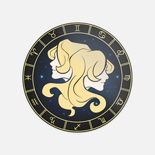 Gemini Sign Of The Zodiac Vinyl Sticker Decal