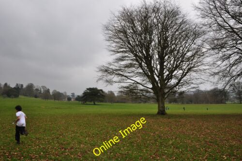Photo 6x4 East Devon : Killerton House Grounds Beare\/SS9800 In a vast op c2013 - Picture 1 of 1