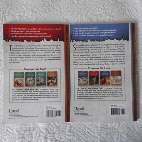 Liguori Catholic Bible Study Complete Set 21 Books Anderson Gospels Letters etc - Picture 14 of 24