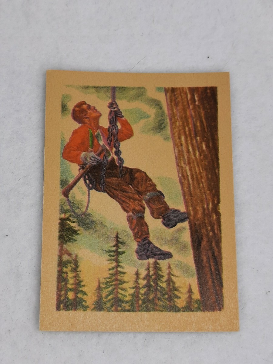 1956 Adventure Gum Card #74 In the Great Northwest | eBay