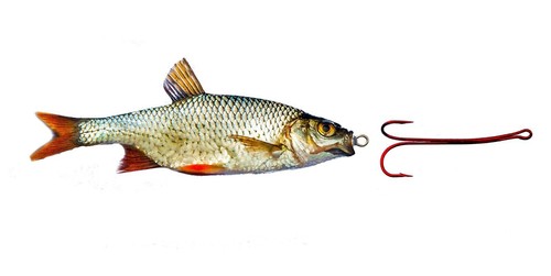 Bavaria Köderfisch Systeme, BUNDLE 7 Mittel 2 ,Form gerade 5 bezahlen 6 erhalten - Bild 5 von 11