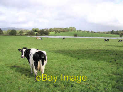 Foto 6x4 Derryree, Drumquin eine der abwechslungsreichen Landschaften in County Tyron um 2005