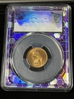 1899 indian head cent Pcgs Ms 64 RD