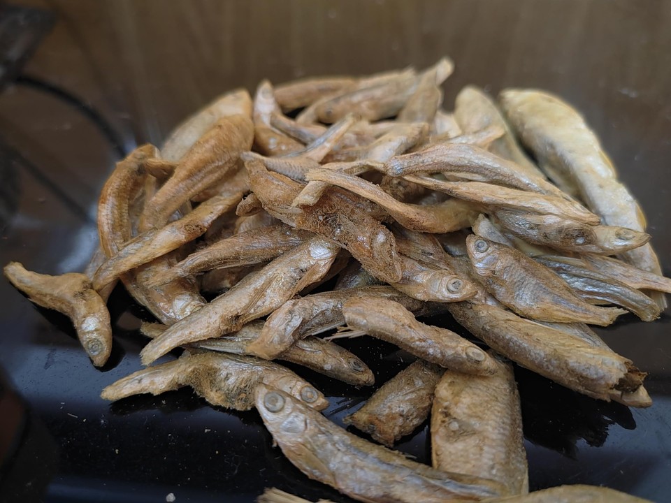 Minnows 4 oz Freeze Dried Minnows, 100% Natural Cat & Dog Treat | eBay