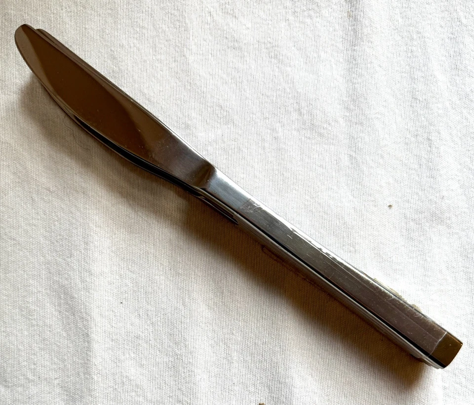"Cuchillo de cena WEST ELM Fortessa 4 Essential plateado de acero inoxidable • 9,25"" nuevo" Foto 2 de 4