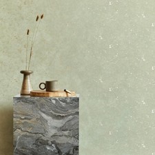 Superfresco Easy Plaster Wallpaper | Gilded Plaster Sage & Silver Textured