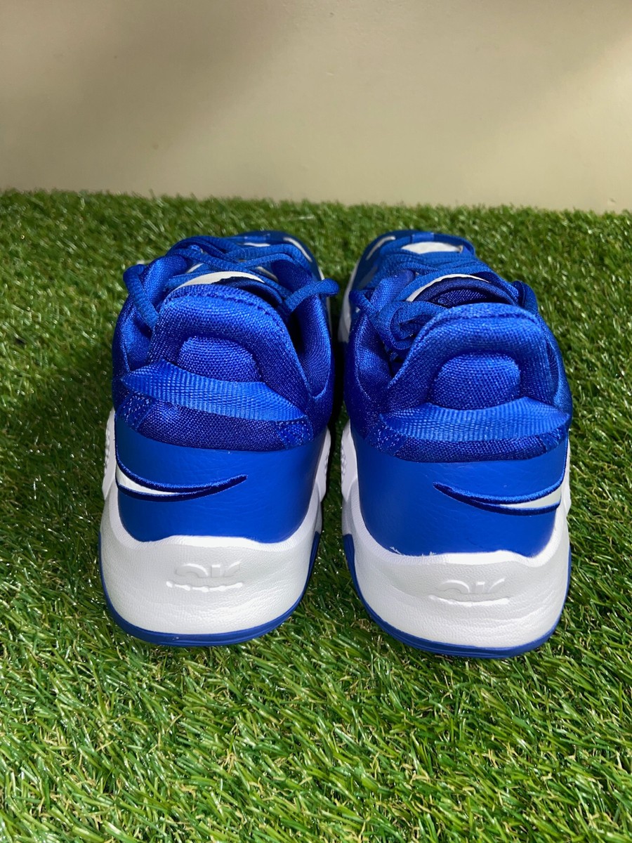 Nike Paul George PG 5 TB Team Royal Blue Basketball Shoes  display picture 1