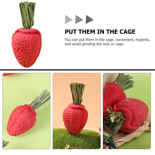 2 Count Tooth-molding Strawberry Toys Hamster Accessories Rat Chew - 第 12/12 張圖片