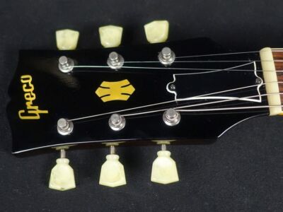 Greco アコースティックギター 6弦 Amazon | PRS Guitars 6弦 SE A20E アコースティック