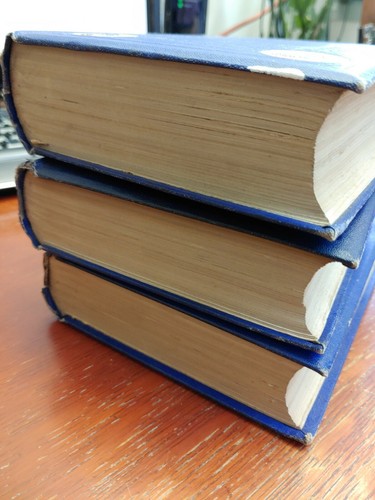 3 book Lot of Charles Dickens's Works 1872 Hardcover illustrated, Blue, Appleton - Picture 12 of 12
