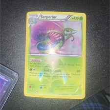 POKÉMON SERPERIOR DRAGONS EXALTED SECRET RARE HOLO CARD 125/124 130 HP TCG on eBay