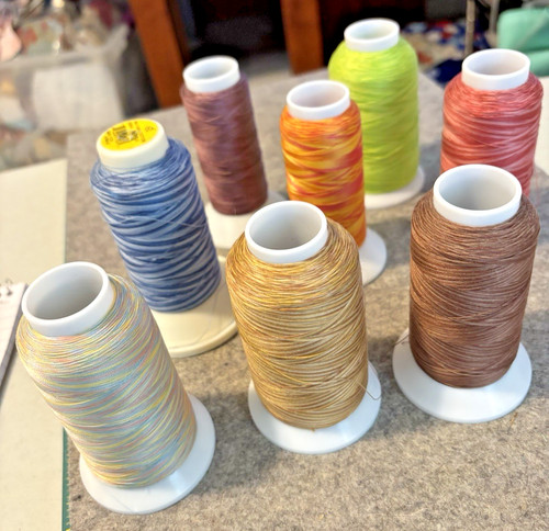 Variegated Quilting Thread - 8 Partial Cones - Lava, King Tut, Etc.