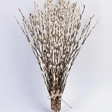 45 Stems 17＂Real Dried Pussy Willow Branches for Vase，100% Natural White 
