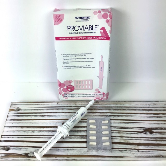 Nutramax Proviable Kit for Cats and Small Dogs Includes 15ml Proviable