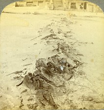 Stereoview Photo San Francisco Earthquake Fault Line 