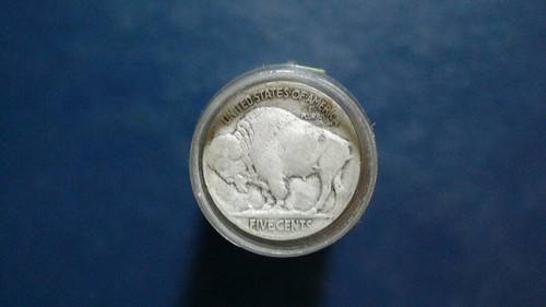 CUARENTA 1920 P Níqueles de Búfalo BUENAS A EXTRA FINAS 5C Monedas Tubo ¡COMPRA YO AHORA! - Imagen 2 de 4