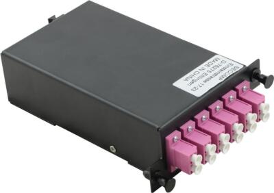 MPO Modul MPO ST/12x LC BU - VALUE MPO Modul (21.99.1107)