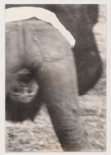 Handsome Young Man Seeing the World Upside Down Abstract Unusual Gay Int Photo