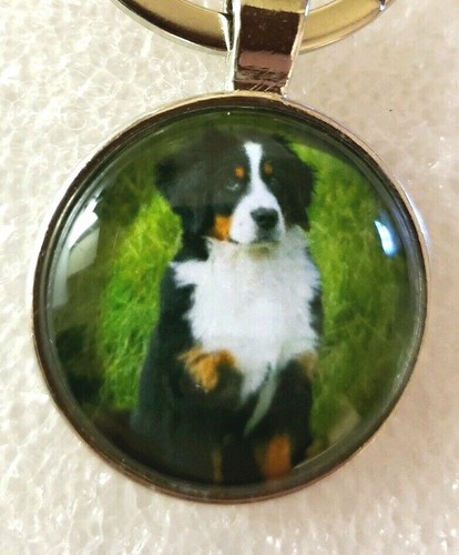 Bernese Mountain Dog In Green Field Round Silver Alloy Key Ring Keyring Jewelry - Picture 3 of 5