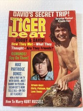 Tiger Beat April 1971