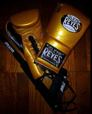 Cleto Reyes Boxing - Pro Training 16 oz Sparring Gloves - TOO FRESH!