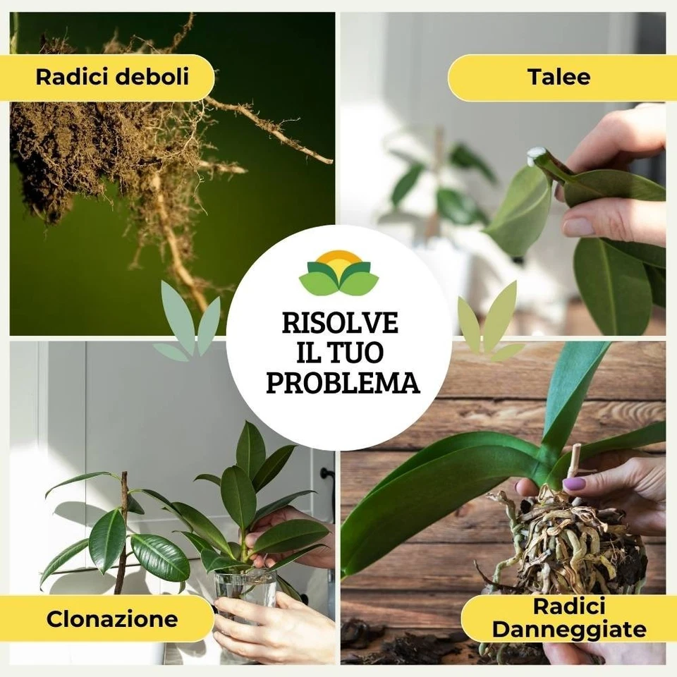 Ormone Radicante per Sviluppo Crescita Radici Talee Piante Verdi Polvere 100 gr - Immagine 4 di 4