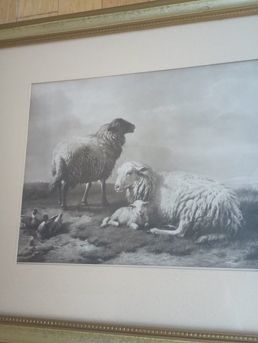 Antigua oveja Eugene-Joseph Verboeckhoven con estampado de patos venta internacional - Imagen 4 de 5