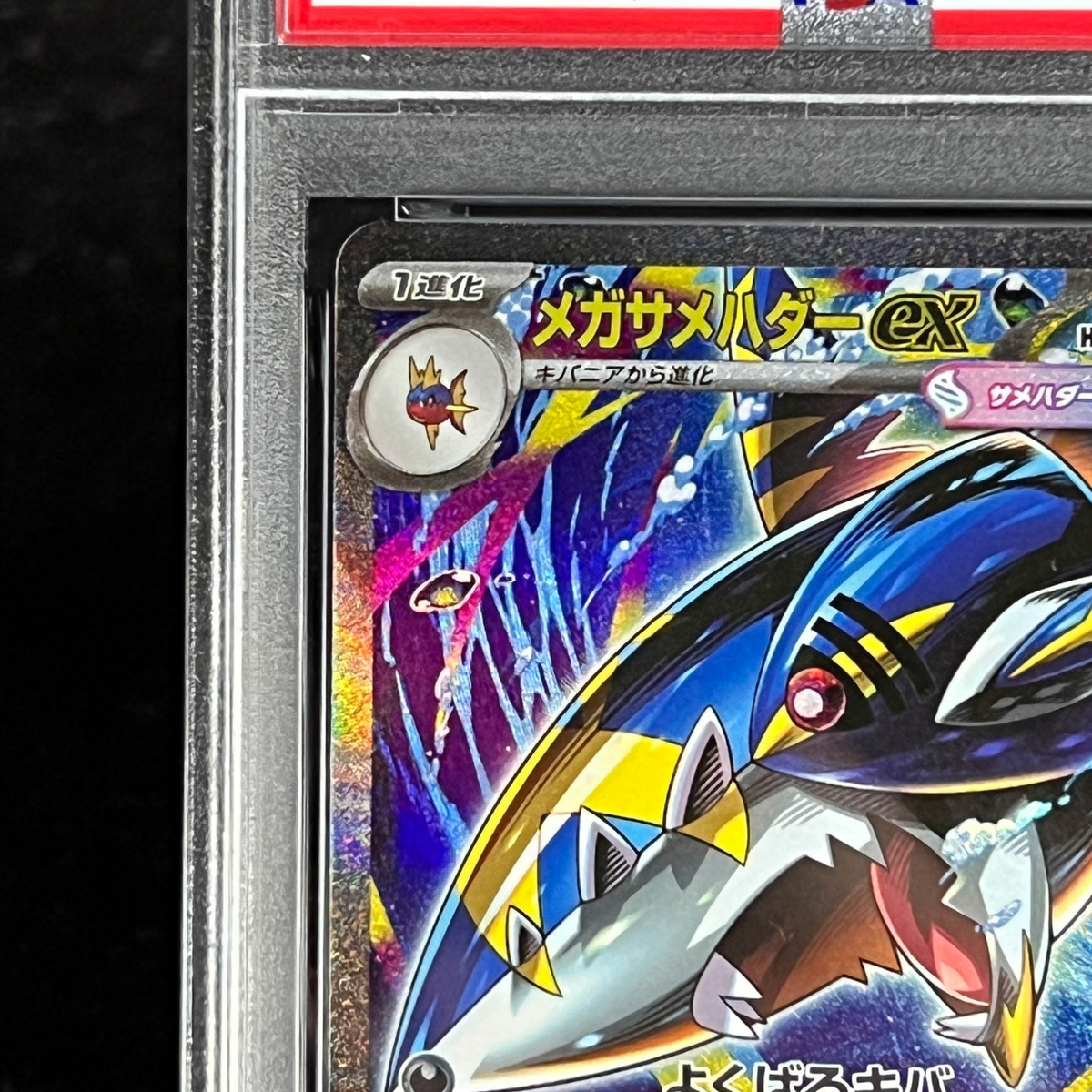 Mega Sharpedo 　J ♣　 メガサメハダー　 PSA10 トランプ PSA 10 Mega Sharpedo ex SAR 113/080 M2 Inferno X Pokemon Card 2025