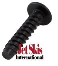 Seadoo OEM SCREW-PLASTITE TORX CONE 250001007