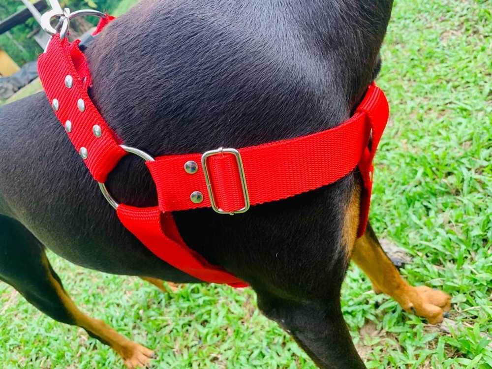 Dog Harness Pet New Nylon Durable Reflective Adventure Outdoor Safety Adjustable