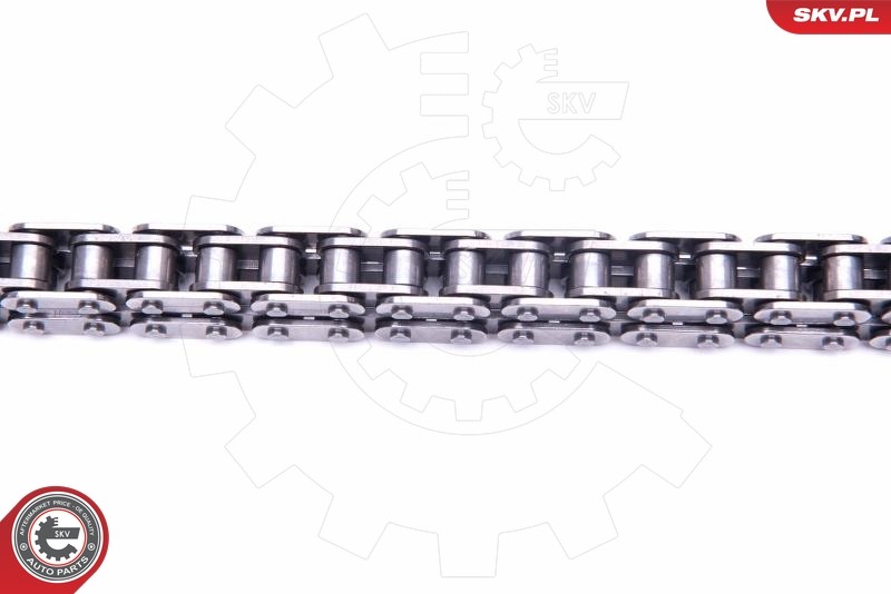 ✅Fits SKV GERMANY 21SKV136 TIMING CHAIN KIT 21SKV136 / 4 ELBMW, ENGI ⭐UK Seller⭐