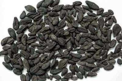 Haritaki Kadukkai Karakkaya Choti Harad Black Myrobalan Dry Harde Kali Harad