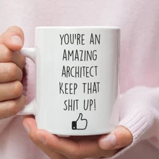 Gift For Architect Funny Gift For Architect Architect Mug Architect Appreciation