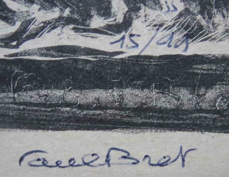Picture 5 of 7